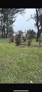 Bien Campestre - Villa Constitución - 3