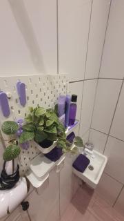 Violetinis namelis/ Sodyba Geras - 2