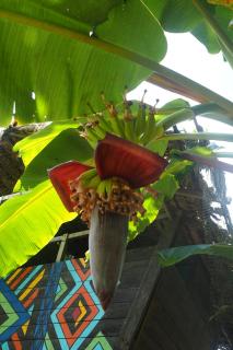 El Vijo Surf - 2