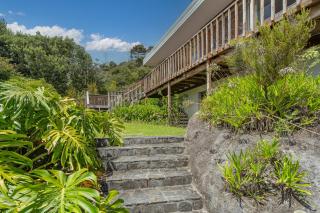 The Retreat - Front Beach Bach - Cooks Beach - 6