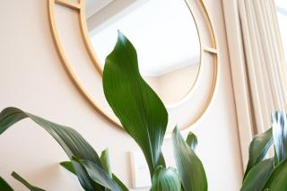 Stylish City Pad Luxe, Comfy, Central - 6