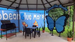 Caribbean Blue Morpho Casitas - Talamanca - 7