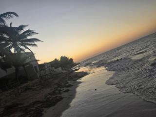 Chicxulub Puerto Beach Penthouse - 8