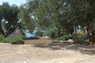 Apartments with a parking space Bozava, Dugi otok - 8124 - Božava - 2