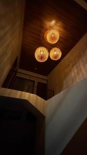 Cachorro, Puntarenas - 1