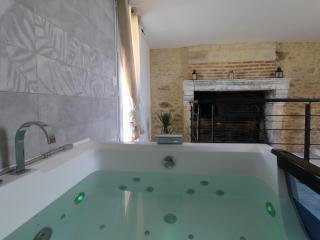 Gîte de charme rénové avec jardin clos, baignoire balnéo et proche d'Angers - FR-1-622-27 - Corzé - 3