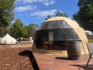 BIG4 Yarra Valley Park Lane Holiday Park - Healesville - 8
