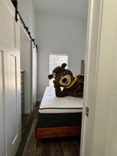 Yogi Bear's Jellystone Park Camp-Resort in Estes Park - 1