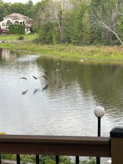 Wasaga Riverside Retreat - 1