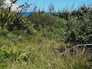 Spectacular beachfront holiday home - Mahia - 3