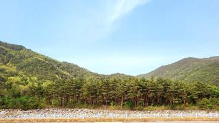 Sokcho Pine View Hotel - 8