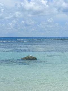 Ti Mabouya Appartement Saint François - 2