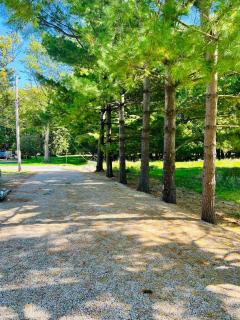 Winifreds Hideaway - Berea - 5