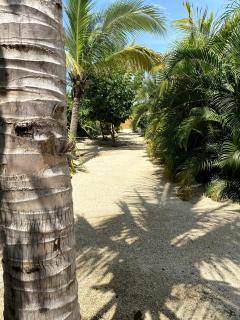 The Bungalow at Casa Nube Rosa - La Majahua - 7
