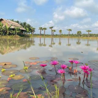 Thala Tra Vinh - Trà Vinh - 1