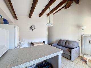 Bel F2 avec terrasse à 650m des Thermes de Lamalou, animaux acceptés, WIFI, proche golf et randonnées - FR-1-451-146 - Lamalou-les-Bains - 4