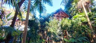 Forest Retreat on a Street - 0