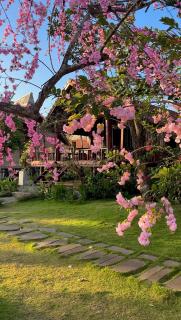 The Lake Farm - Dak Lak - Buon Ma Thuot - 2