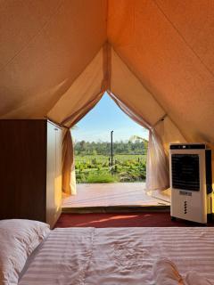 The Lake Farm - Dak Lak - Buon Ma Thuot - 7