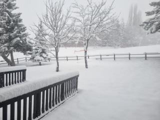 Studio cosy à Pra-Loup 1600, proche pistes, 4 pers, 25m² - FR-1-165A-198 - 2