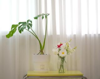 Serendipity House 동대문역 도보3분, Ddp Amp Doota, 명동, 경복궁, 광화문 - Seul - 9
