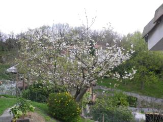Casa Rural Higeralde - 1