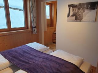 Apartment in Kals near Ski Slopes - 1