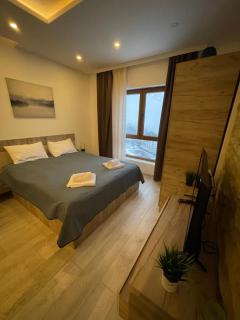 Apartment TAUNUS - Kopaonik - 6