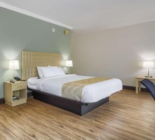Quality Inn Gulf Shores Airport - Gulf Shores - 8