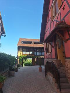 L'Horizon du Vignoble - Wangen - 1