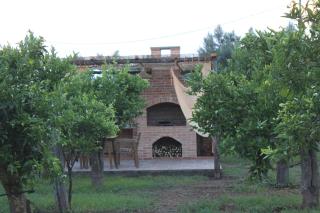 Agriturismo Le terre di zoe' - Limbadi - 1