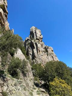 l'Alivu di venaco - Venaco - 7