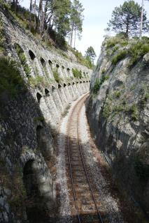 l'Alivu di venaco - Venaco - 1