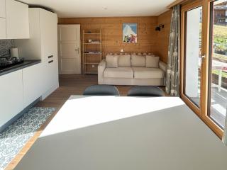 Flat with magnificent views of the Matterhorn - Zermatt - 4