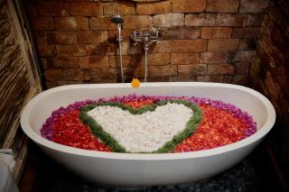 Pratiwi Ubud Villa - Ubud - 6