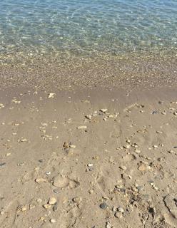 Stella del Salento - Brindisi - 5
