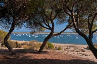 Casa en El Portil - 3-Bedroom Holiday Home including Paddle Tennis and Pool Near Golf Course - 3