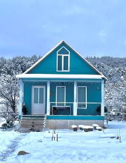 Cottage Daisy - Tʼianetʼi - 9