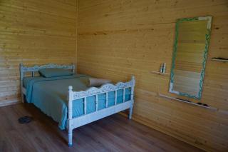 Cottage Daisy - Tʼianetʼi - 5