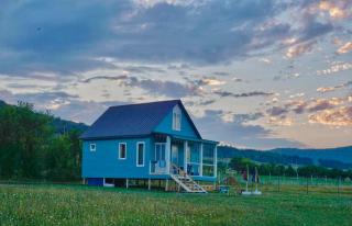 Cottage Daisy - Tʼianetʼi - 0