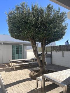 Luxury Beachfront Cottage - Langebaan - 6