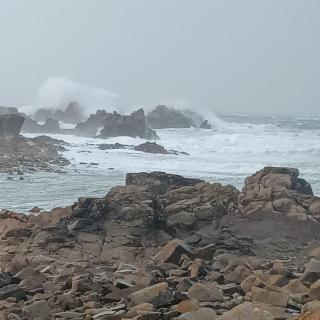 Gîte mer et nature du Squillio - Plougrescant - 3