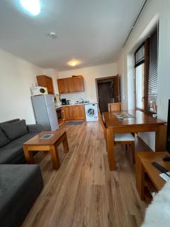 Ski Zone at Gondola, Warm and Cosy, WiFi, AC, Netflix, Perfect One Bedroom appartment, Beautiful View - Bansko - 9