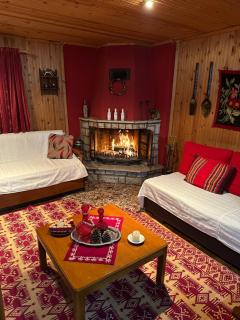 Traditional Wooden Apartment - Koutsodímos - 1