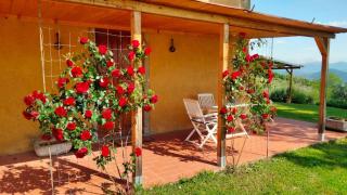 Vigna del Poggio - 8