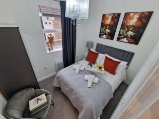Comfortable City Haven flat - Watford - 9