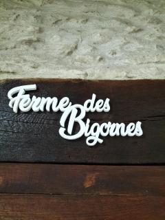 la ferme des bigornes - Châtillon-sur-Indre - 9