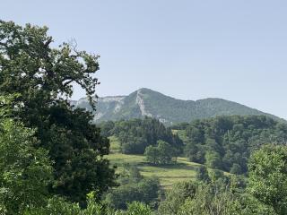 Vallée de la Barousse à Esbareich Hautes-Pyrénées - Esbareich - 5