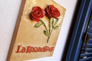 La Rosa nel Borgo - appartamento con garage - La Morra - 1
