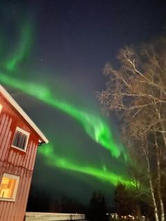 Magical view on top of Tromsøya - Tromsø - 9